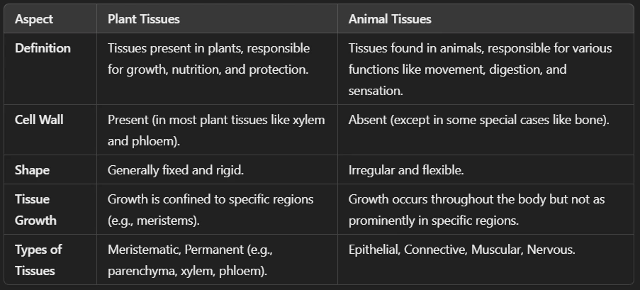 Difference Between Plant and Animal Tissues